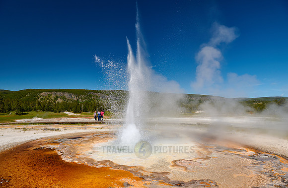 Tardy Geyser, Yellowstone National Park