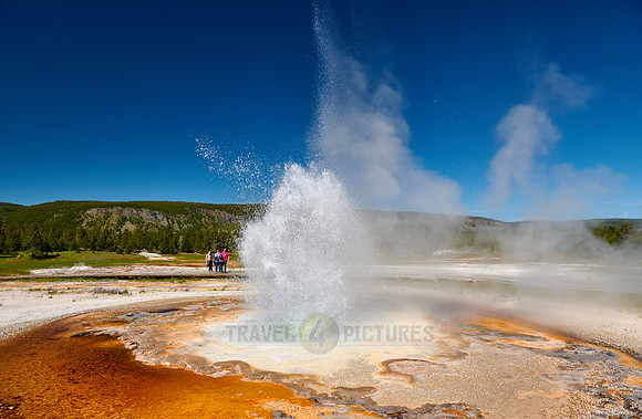 Tardy Geyser, Yellowstone National Park