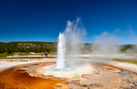 Tardy Geyser, Yellowstone National Park