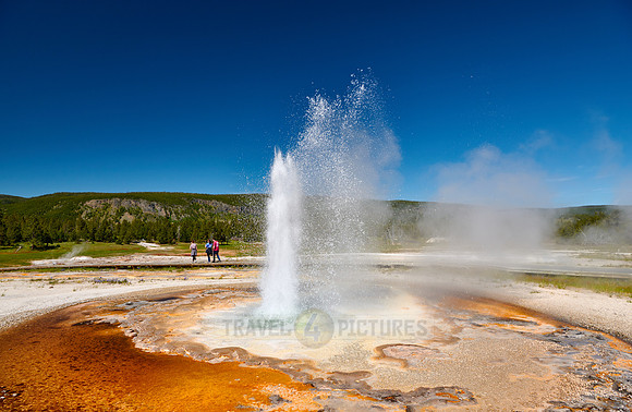 Tardy Geyser, Yellowstone National Park