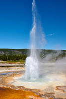Tardy Geyser, Yellowstone National Park