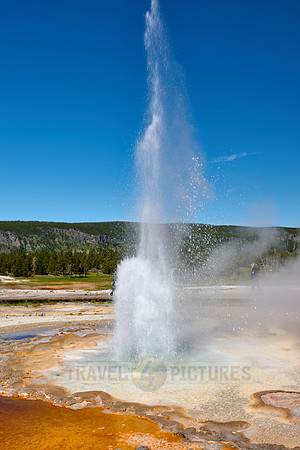 Tardy Geyser, Yellowstone National Park
