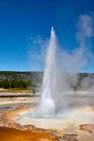 Tardy Geyser, Yellowstone National Park