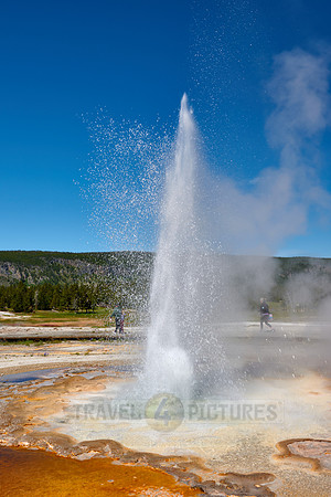 Tardy Geyser, Yellowstone National Park