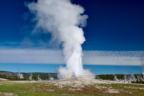 erupting Old Faithful Geyser, Yellowstone National Park, Wyoming