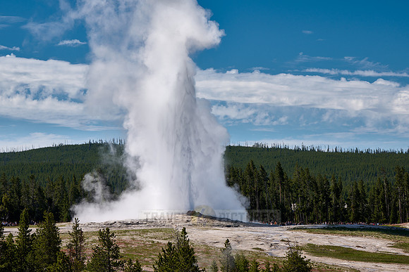 erupting Old Faithful Geyser, Yellowstone National Park, Wyoming