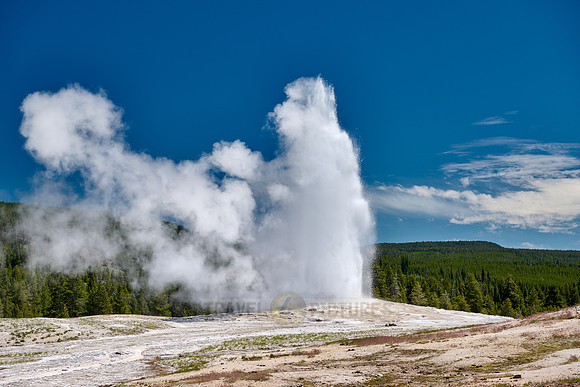 erupting Old Faithful Geyser, Yellowstone National Park, Wyoming