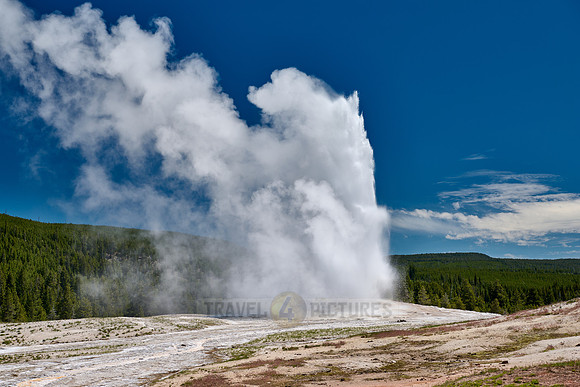 erupting Old Faithful Geyser, Yellowstone National Park, Wyoming