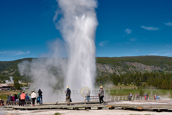 erupting Beehive Geyser, Upper Geyser Basin, Yellowstone National Park