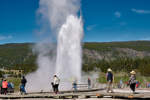 erupting Beehive Geyser, Upper Geyser Basin, Yellowstone National Park