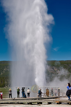 erupting Beehive Geyser, Upper Geyser Basin, Yellowstone National Park