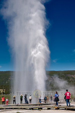 erupting Beehive Geyser, Upper Geyser Basin, Yellowstone National Park