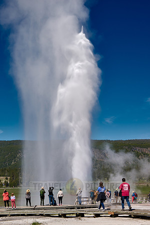 erupting Beehive Geyser, Upper Geyser Basin, Yellowstone National Park