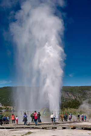 erupting Beehive Geyser, Upper Geyser Basin, Yellowstone National Park