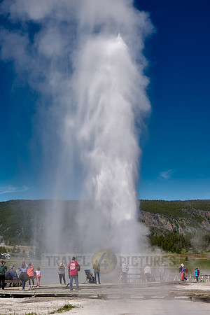 erupting Beehive Geyser, Upper Geyser Basin, Yellowstone National Park