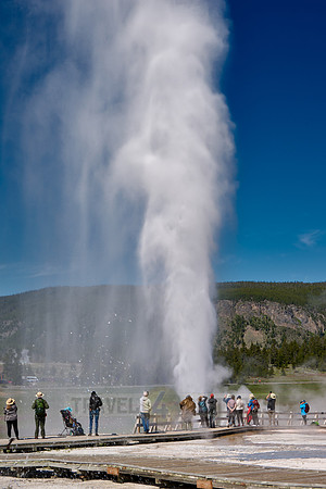 erupting Beehive Geyser, Upper Geyser Basin, Yellowstone National Park