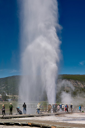 erupting Beehive Geyser, Upper Geyser Basin, Yellowstone National Park