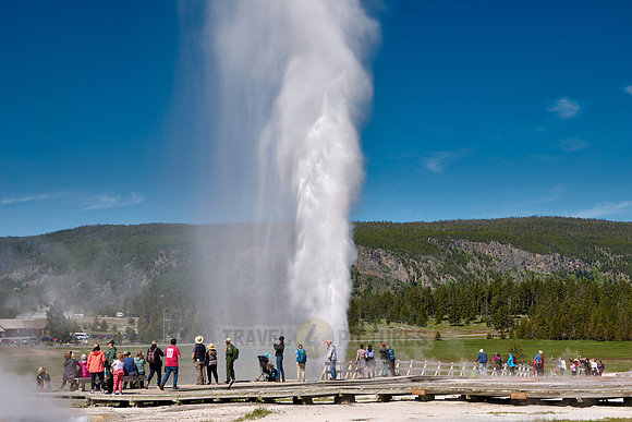 erupting Beehive Geyser, Upper Geyser Basin, Yellowstone National Park