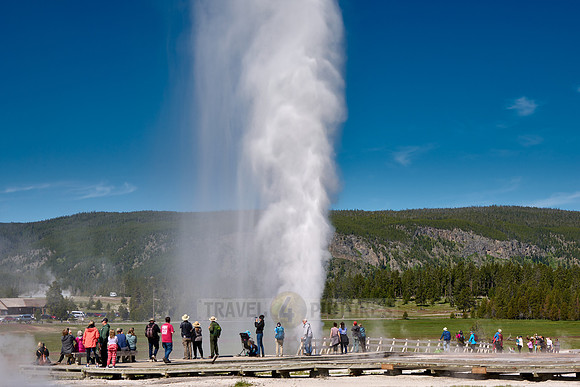 erupting Beehive Geyser, Upper Geyser Basin, Yellowstone National Park