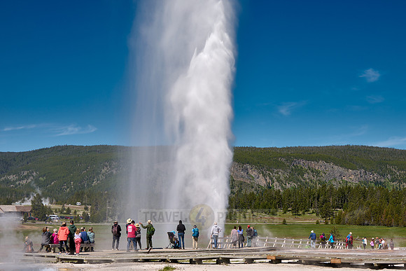erupting Beehive Geyser, Upper Geyser Basin, Yellowstone National Park