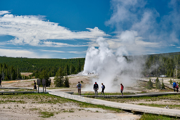 erupting Castle Geyser, Upper Geyser Basin, Yellowstone National Park