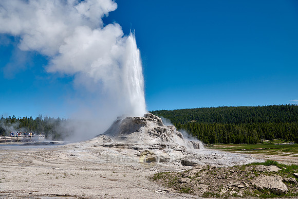erupting Castle Geyser, Upper Geyser Basin, Yellowstone National Park