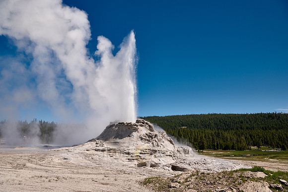 erupting Castle Geyser, Upper Geyser Basin, Yellowstone National Park