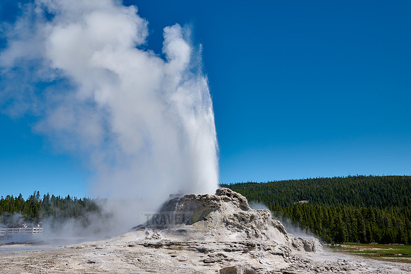 erupting Castle Geyser, Upper Geyser Basin, Yellowstone National Park