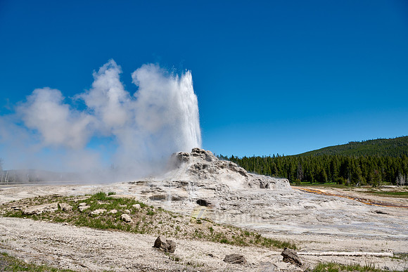 erupting Castle Geyser, Upper Geyser Basin, Yellowstone National Park