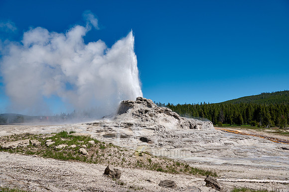 erupting Castle Geyser, Upper Geyser Basin, Yellowstone National Park