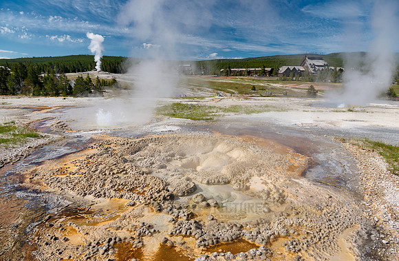 Anemone Geysers, Yellowstone National Park