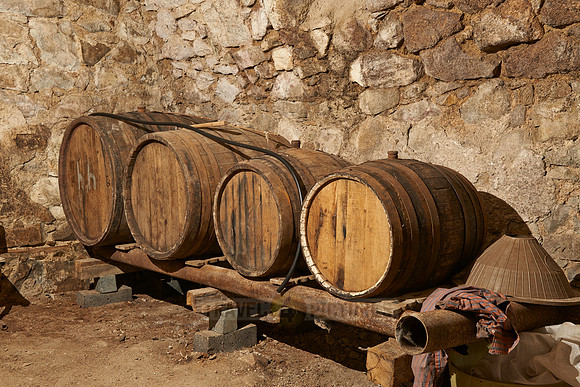 wine barrels in cellar