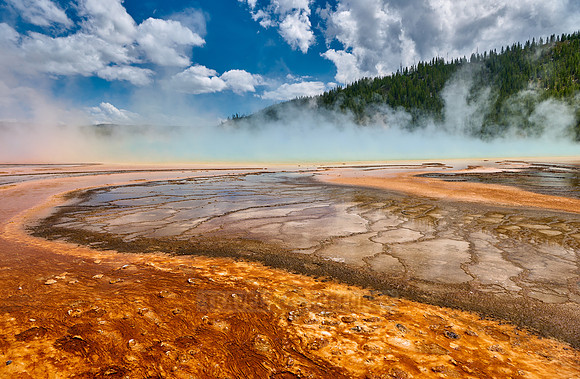 orange bacteria of Grand Prismatic Spring, Yellowstone National Park