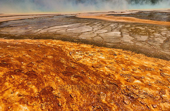 orange bacteria of Grand Prismatic Spring, Yellowstone National Park
