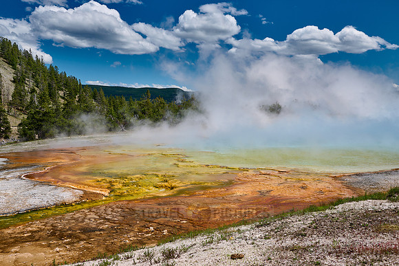 orange bacteria in Midway Geyser Basin, Yellowstone National Park