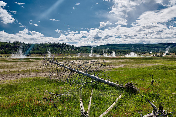 steam over Midway Geyser Basin, Yellowstone National Park
