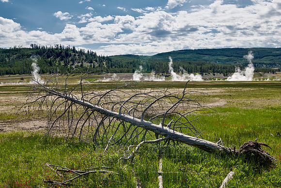 steam over Midway Geyser Basin, Yellowstone National Park