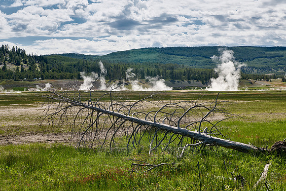 steam over Midway Geyser Basin, Yellowstone National Park