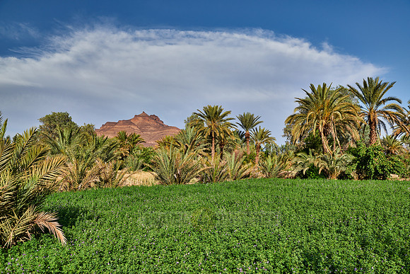 mountain landscape of Jbel Kissane