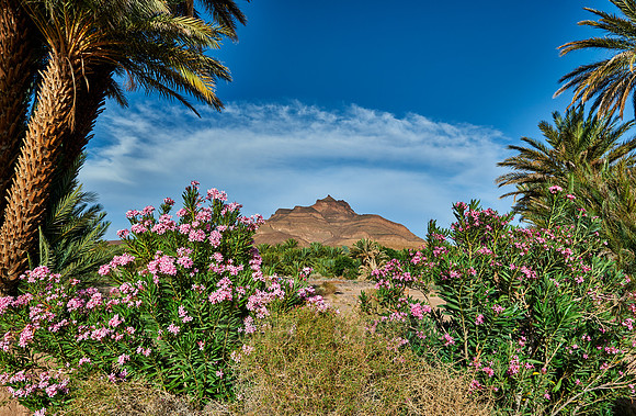 mountain landscape of Jbel Kissane
