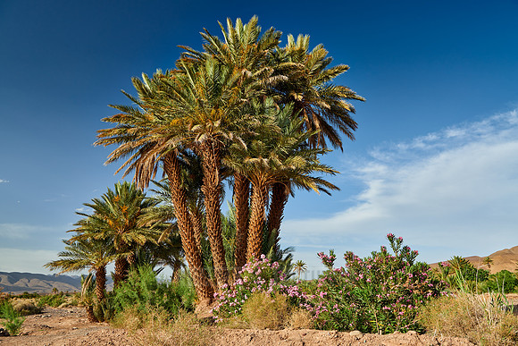 mountain landscape of Jbel Kissane