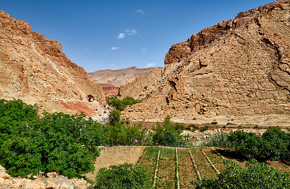 landscape in rose valley