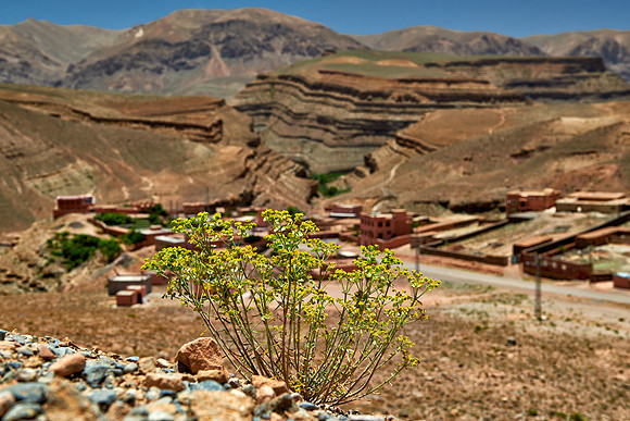 landscape in upper Gorge de Dades