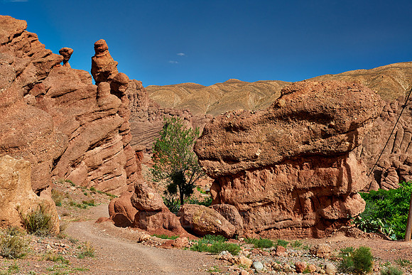 monkey fingers, spectacular rock landscape