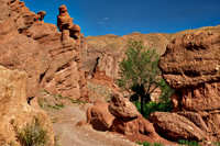 monkey fingers, spectacular rock landscape