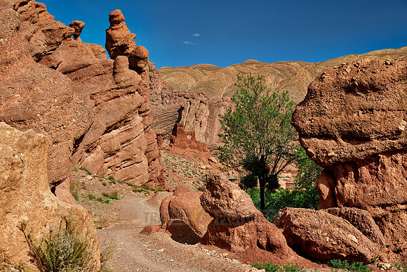 monkey fingers, spectacular rock landscape