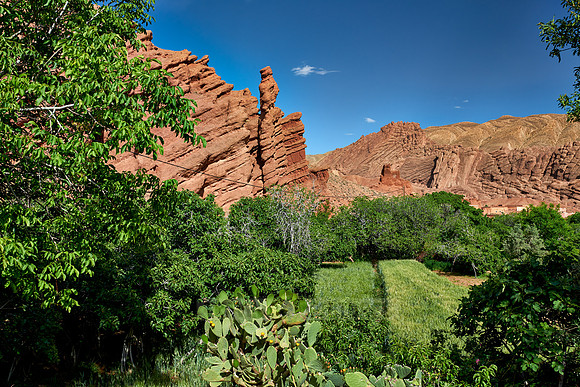 monkey fingers, spectacular rock landscape