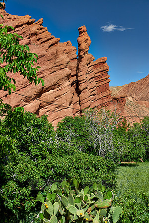monkey fingers, spectacular rock landscape