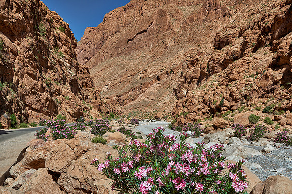 upper part of Todra Gorge
