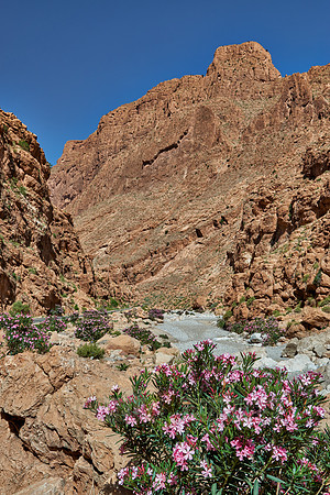 upper part of Todra Gorge